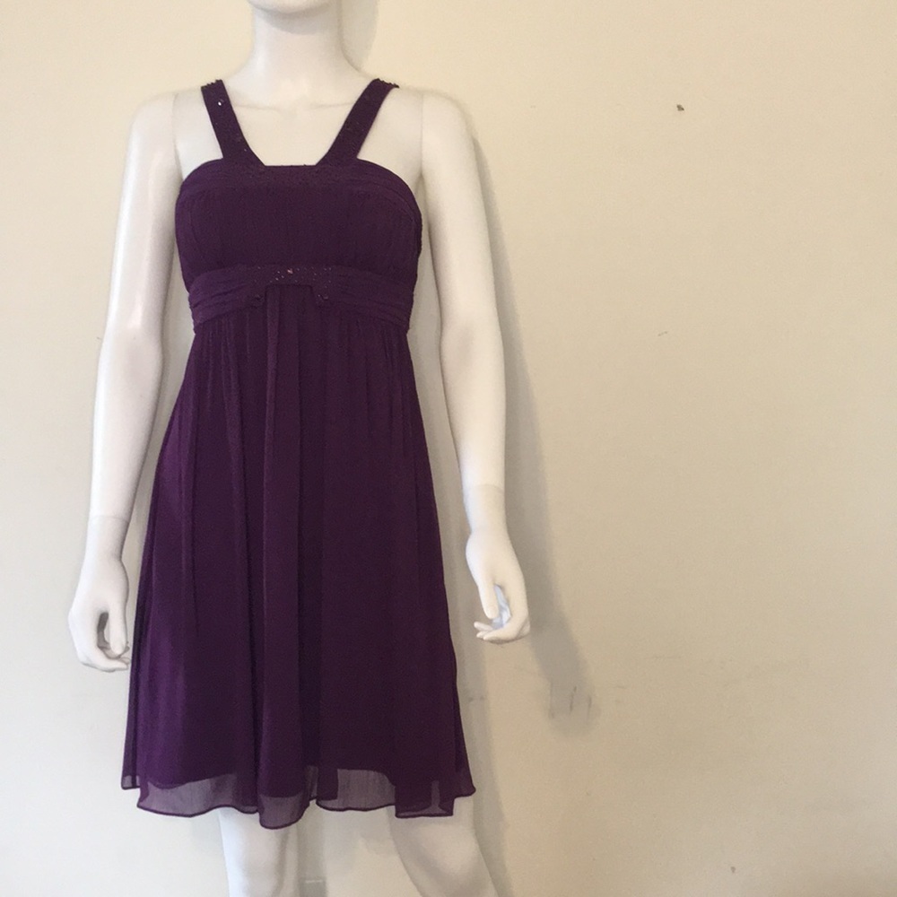 Max and Cleo Purple Formal/SemiFormal Empire Dress